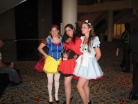 Picture 024